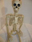 3 Foot ft. Poseable Skeleton Halloween Decoration — photo 2