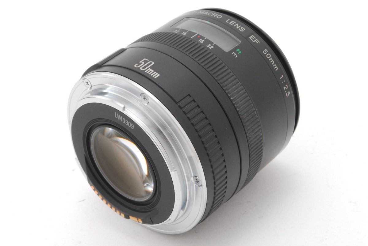 Near Mint] Canon EF 50mm f2.5 Compact Macro Lens from JAPAN #277