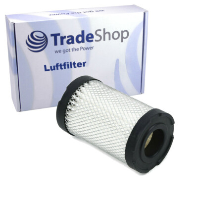 Filter Luftfilter für Craftsman 987.799601 917372832 917372854 917376282