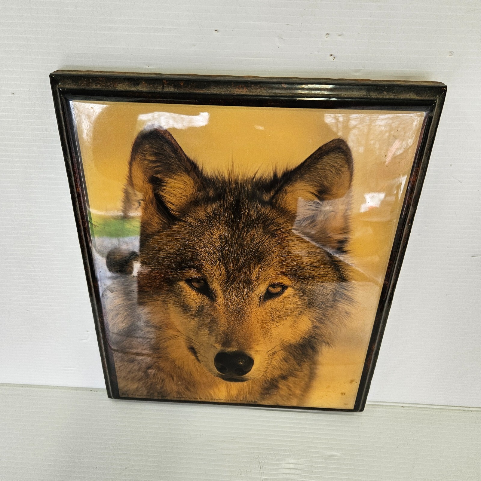 Picture 4 of 11