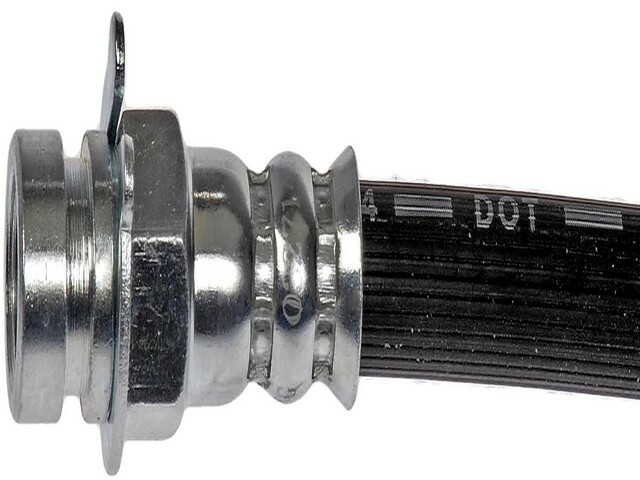 Picture 1