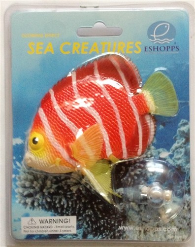 peppermint angelfish for sale