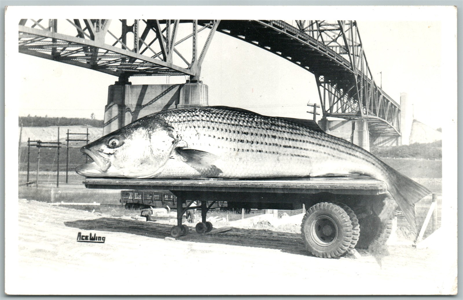 Picture 1 of 2