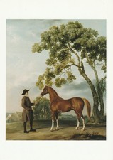 Art: Arabian stallion with Groom, George Stubbs painting, horse postcard