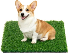 Artificial Turf Grass Outdoor: Grass Pad for Dogs Indoor Potty Training, Replace