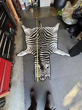 Zebra Rug, South Africa With Felt