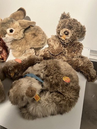 22 antike Stofftiere z. größten Teil STEIFF - Bild 10 von 13