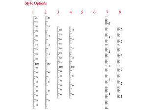 Ebay Height Chart