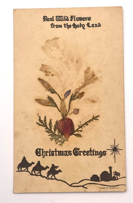 Holy Land Pressed Flowers Camels Bethlehem Star Christmas Greeting Card