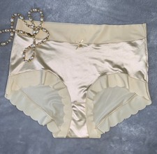 NEW Glossy Secret Stretch Satin 1X Briefs Panties SILKY Nylon Full Coverage