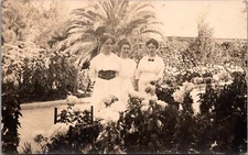 RPPC Three Women at Mission Cliff Gardens in San Diego, California November 1914