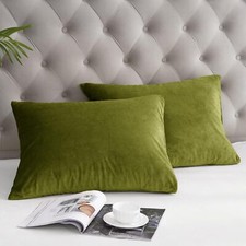 Ultra Soft Velvet Pillowcases 2 Pack Envelope Closure 20x26 Standard Size