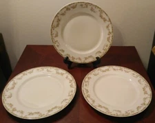 Classic 3 Theodore Havilland Limoges France 9.625" Dinner Plates Schleiger 1073A