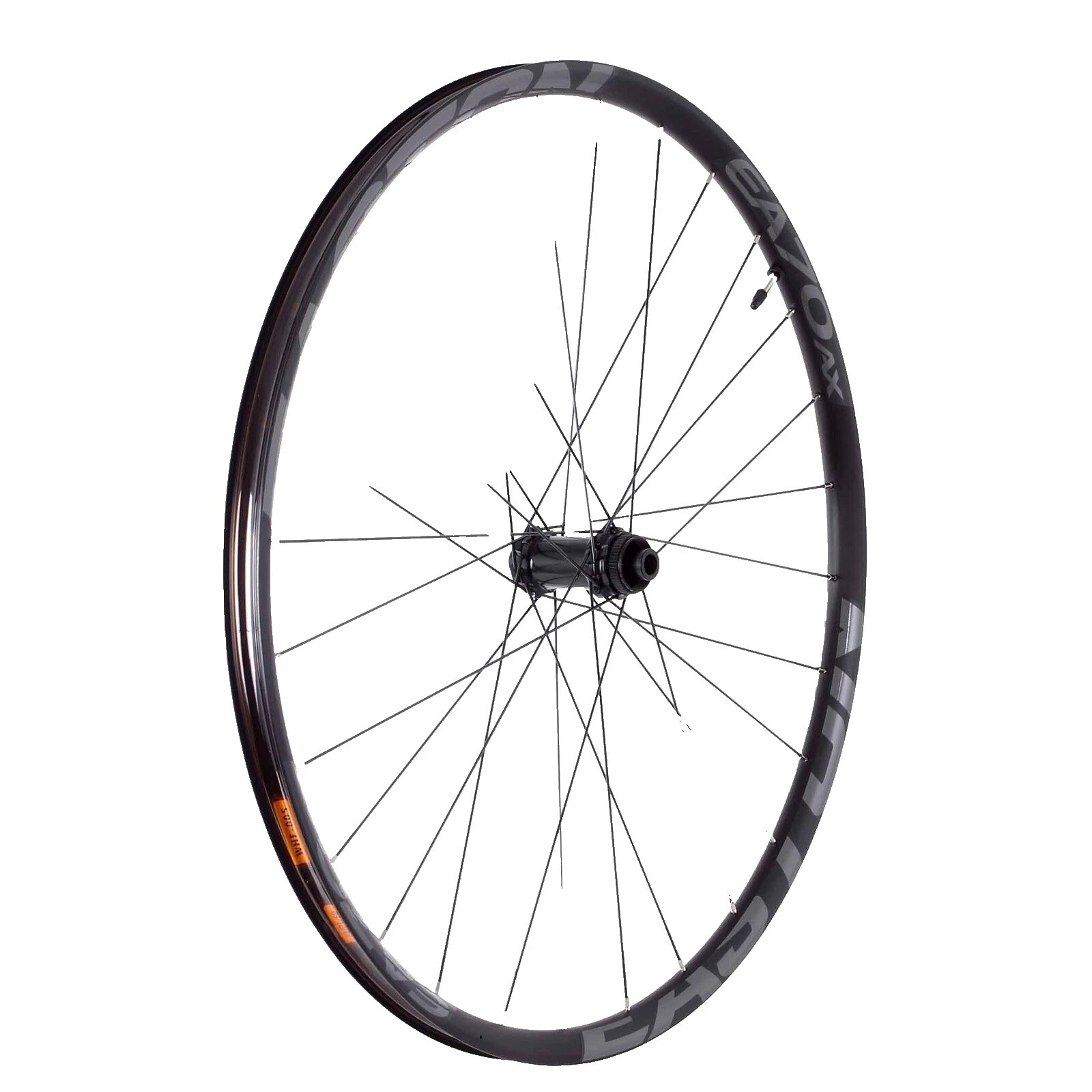 Easton Aluminum Bicycle Wheels & Wheetsets