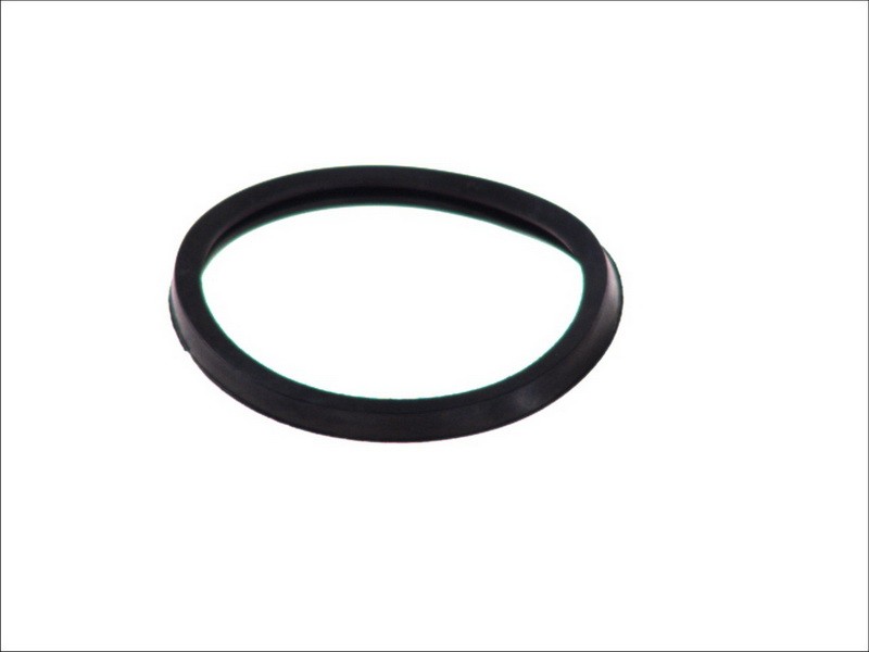 2x ✅Fits HANS PRIES HP202 325 Thermostat gasket HP202 325 Coolant th ⭐UK Seller⭐