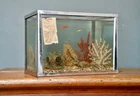 Vintage Sternco Aquarium Fish Tank Terrarium Stainless Steel Slate Bottom 5 Gal