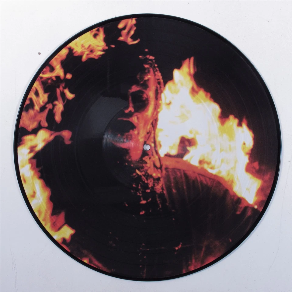 KING GIZZARD & THE LIZARD WIZARD Infest.. FLT-053 LP VG+ picture disc a - Image 4 of 4