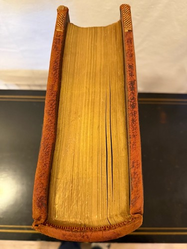 Antique Douay Rheims Holy Bible - Picture 10 of 17