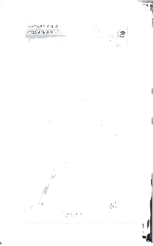 Ken Griffey Jr 9.5 Graded Baseball Sports Trading Cards