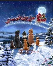 Christmas Snow Dogs Sled Fabric 36" Panel Midnight Meeting David Textiles Cotton