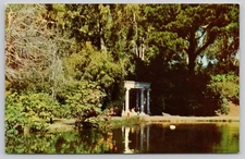 Golden Gate Park Stanyan Street Fulton Street Lincoln Way Chrome Postcard Unpost