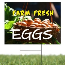 Farm Fresh Eggs  Sidewalk Yard Sign with Metal Stakes  24"W x 18"H
