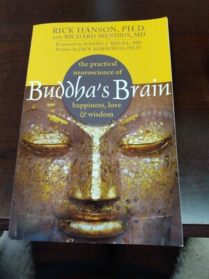 Buddha's Brain by Rick Hanson. (Cm)