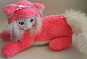 Rubber Face Cat | eBay