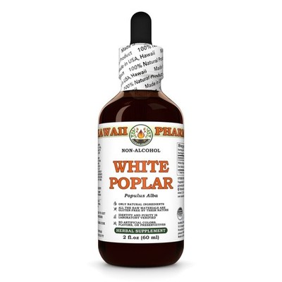 White Poplar (Populus Alba) Glycerite, Dried Bark Liquid Extract
