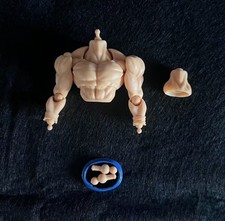 NEW Custom 1/12 Son Goku Super Saiyan God the...