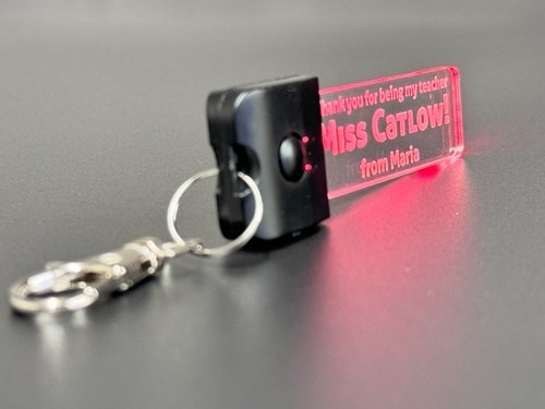 Custom Personalised Keyring-LED Light-7 Colours-Keychain-Teacher-Student-School - Afbeelding 12 van 16
