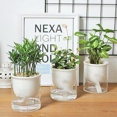 ebay indoor plant pots