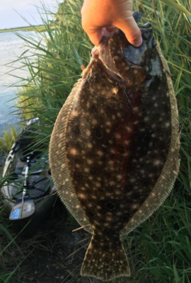 Wide Gap Hook Kahle Fluke Flounder Shiner Gold Bait Hook 25 pcs 2