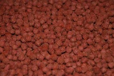 Ken's Premium Spring/Fall Koi & Goldfish Pellets 5 mm