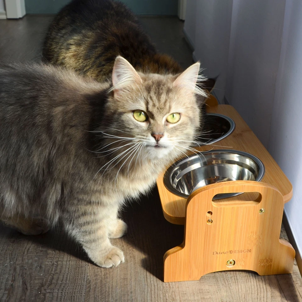 4 SCHALEN: Hundenapf kleine Hunde - Katzennapf erhöht 40x18x15 Bambus Futternapf - Bild 2 von 4