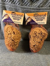2 Natural Sea Sponge Hydra Sea Sponge Co 6" 7" NIP s