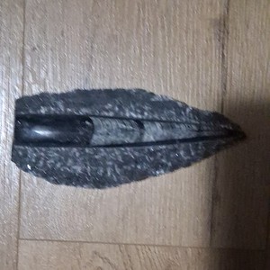 Orthoceras Fossil Specimen in Matrix