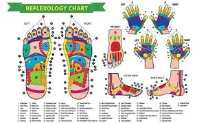 Reflexology Wall Chart Posters