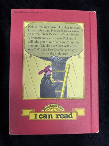 THE FIRE CAT by ESTHER AVERILL 1ST Edition 1960 VINTAGE Book CHILDRENS Hard - Foto 2 di 13
