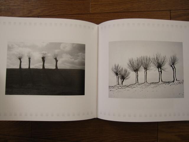 アート・デザイン・音楽 Zdzislaw Beksinski Fotografia + DVD アート・デザイン・音楽 Zdzislaw Beksinski Fotografia + DVD