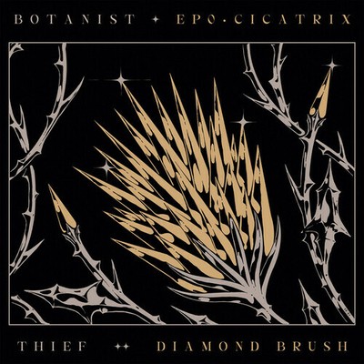 Botanist - Cicatrix / Diamond Brush [New CD] Digipack Packaging