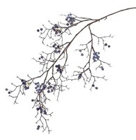 Artplants Deko Zweig Schneebeeren Zweig Gesa Mit Beeren, Blau, 100Cm