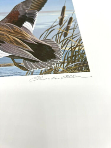 1983 Nevada Duck Stamp Charles Allen Signed and Numbered Print - Picture 3 of 4
