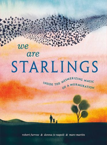 We Are Starlings : Inside the Mesmerizing Magic of a Murmuration by Donna Jo ...