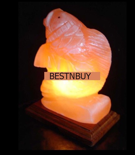 BEAUTIFUL FISH FULL-SET HIMALAYAN SALT CRYSTAL LAMP AIR PURIFY CORD & GLOBE - Picture 3 of 5