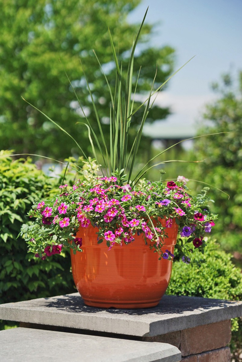 Garden Elements Glazed Brushed Happy Large Plastic Planter