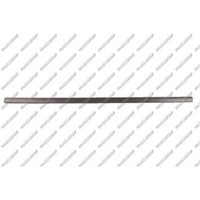 Prasco Zier Schutzleiste TüR Vorne Rechts FüR VW Golf IV 1J1 VG0341403