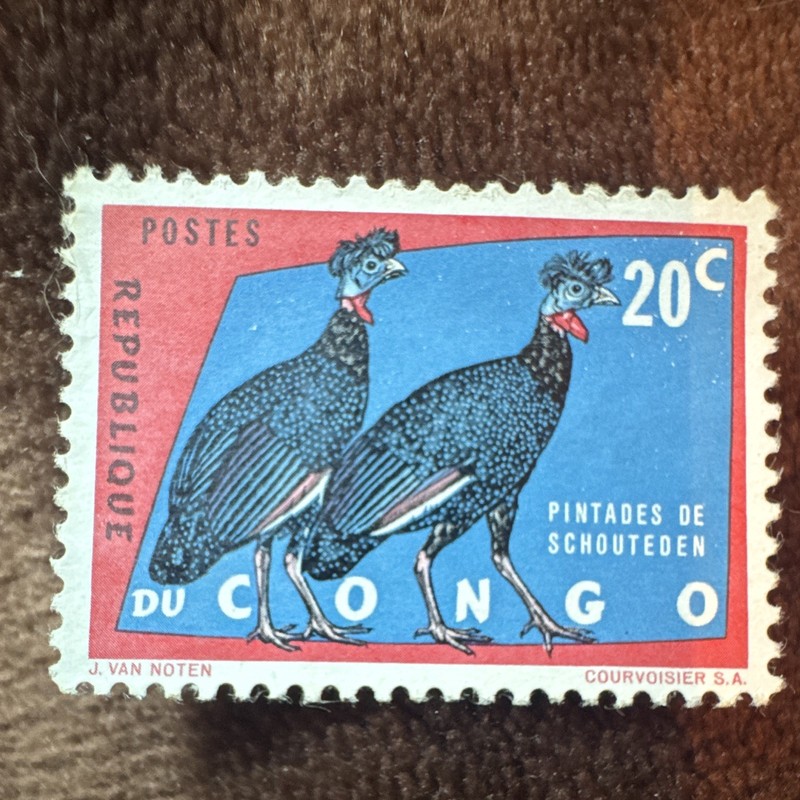 Congo-Kinshasa 20c “Pintades de Schouteden” Birds Postage Stamp MNH