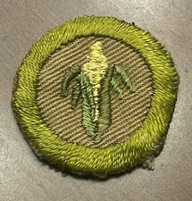 Vintage 1920’s / 1930’s Gardening Merit Badge Boy Scout Patch BSA Insignia 