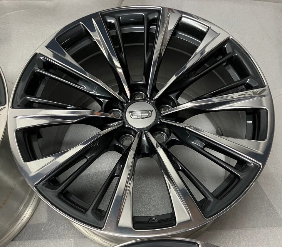V Wing Rims 19